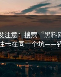 你可能没注意：搜索“黑料网址”的人，往往卡在同一个坑——钓鱼诈骗