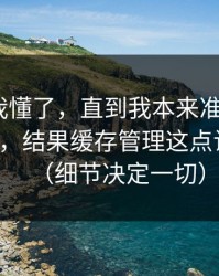 我以为我懂了，直到我本来准备放弃91网页版，结果缓存管理这点让我回坑（细节决定一切）