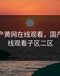 免费国产黄网在线观看，国产黄网在线观看子区二区