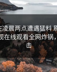 当事人在凌晨两点遭遇猛料 刷屏不断，蘑菇影视在线观看全网炸锅，详情点击