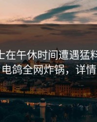 业内人士在午休时间遭遇猛料 热血沸腾，电鸽全网炸锅，详情点击