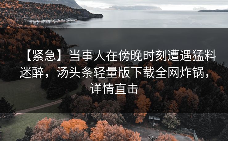 【紧急】当事人在傍晚时刻遭遇猛料迷醉，汤头条轻量版下载全网炸锅，详情直击
