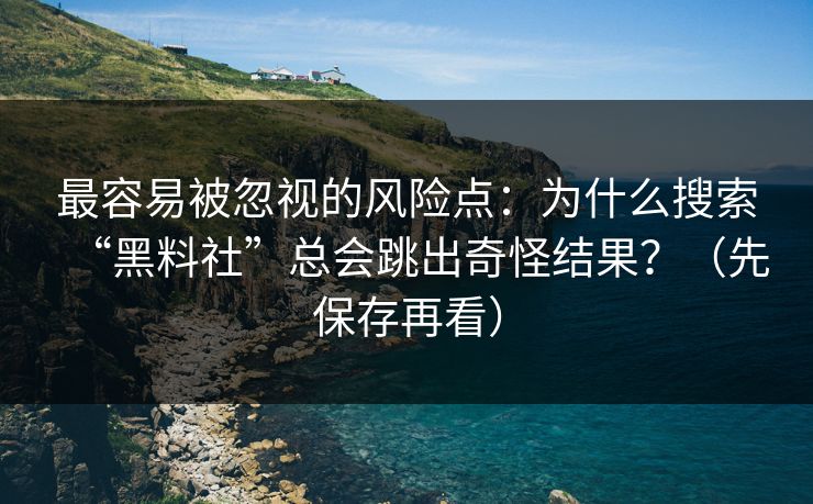 最容易被忽视的风险点：为什么搜索“黑料社”总会跳出奇怪结果？（先保存再看）
